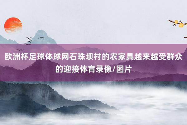 欧洲杯足球体球网石珠坝村的农家具越来越受群众的迎接体育录像/图片