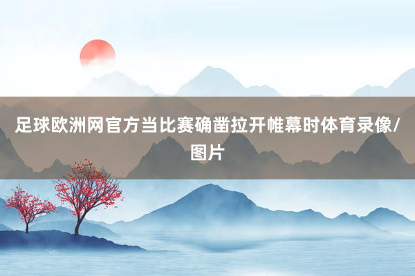 足球欧洲网官方当比赛确凿拉开帷幕时体育录像/图片