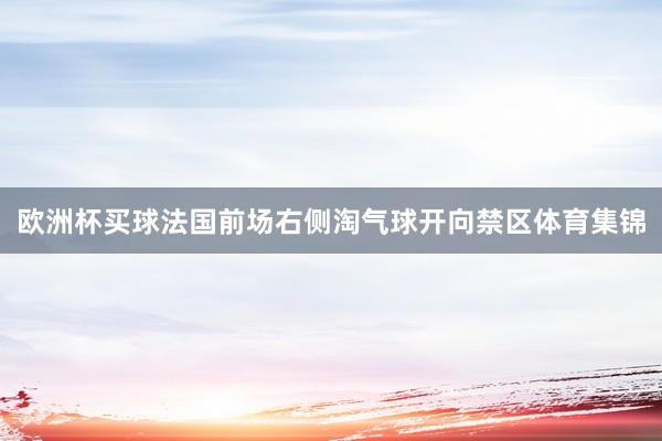 欧洲杯买球法国前场右侧淘气球开向禁区体育集锦