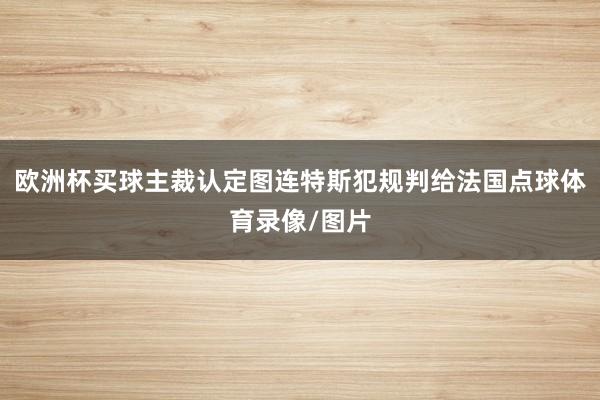 欧洲杯买球主裁认定图连特斯犯规判给法国点球体育录像/图片