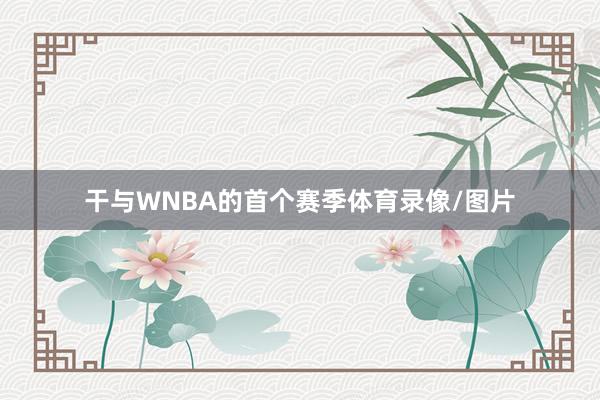 干与WNBA的首个赛季体育录像/图片